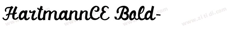 HartmannCE Bold字体转换